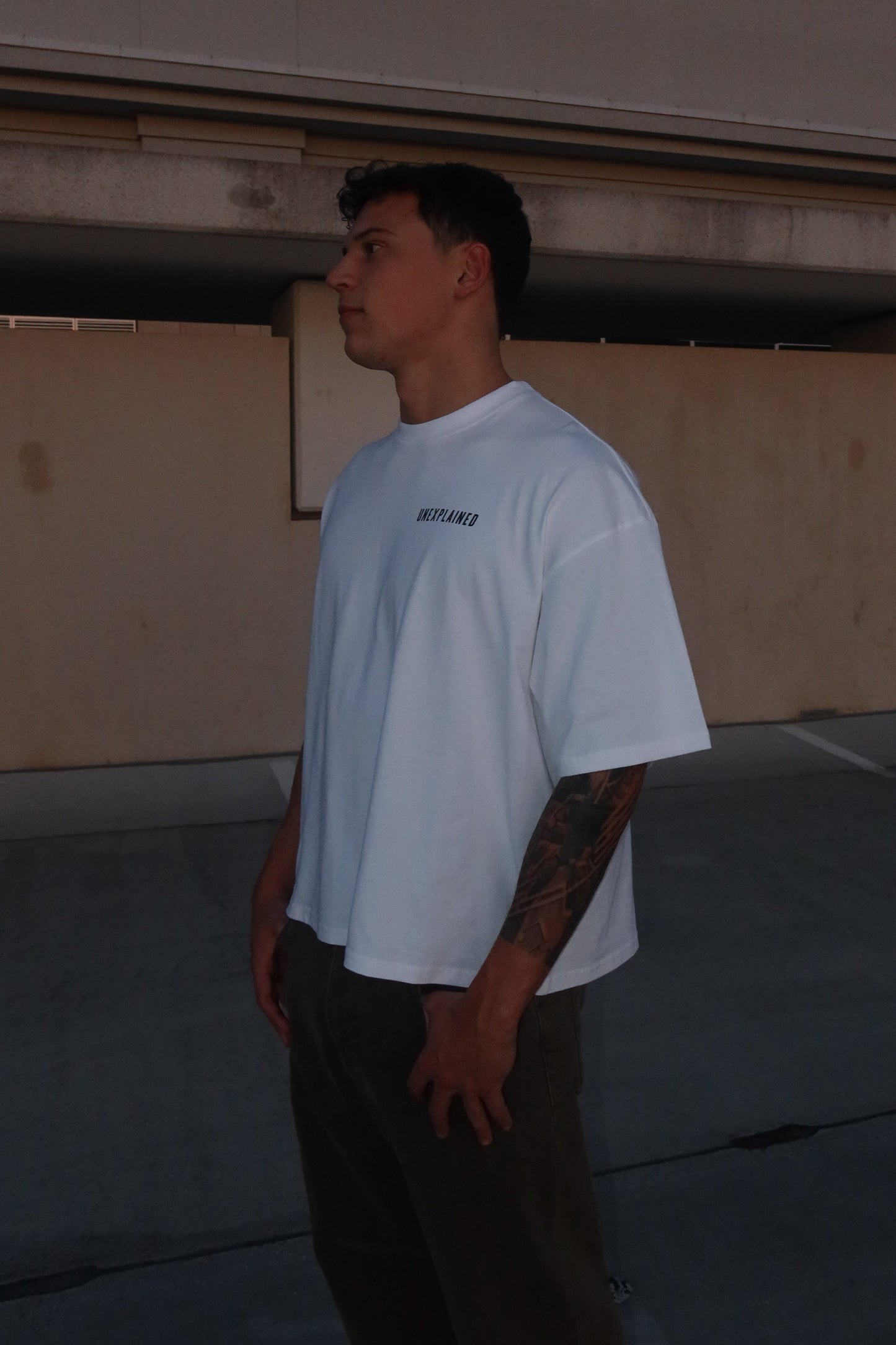 WHO LET THE DOGS OUT TEE