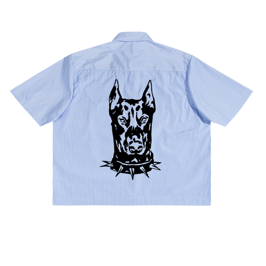 DOBERMAN BUTTON DOWN