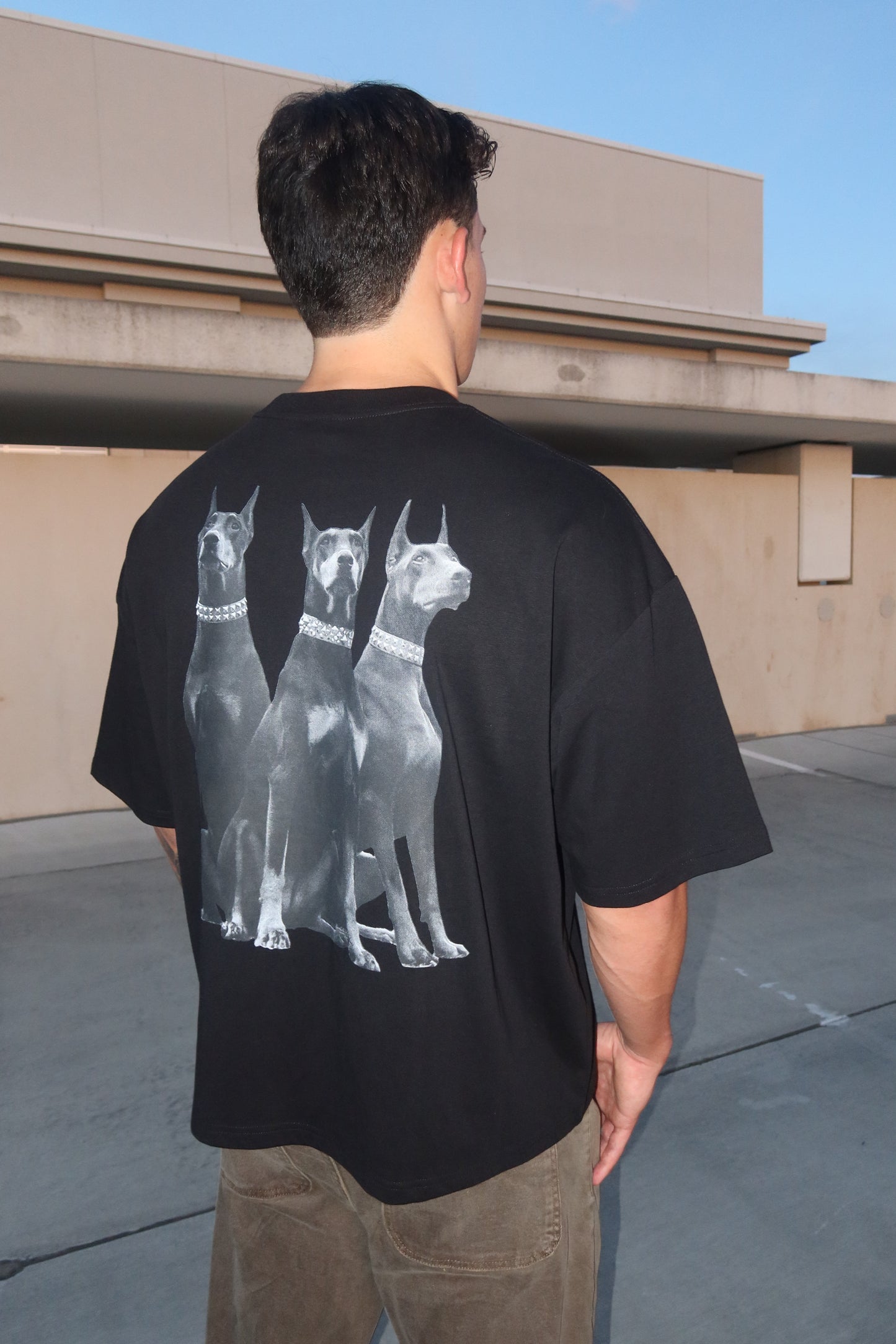 WHO LET THE DOGS OUT TEE