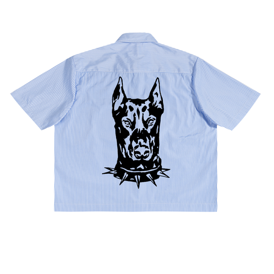 DOBERMAN BUTTON DOWN