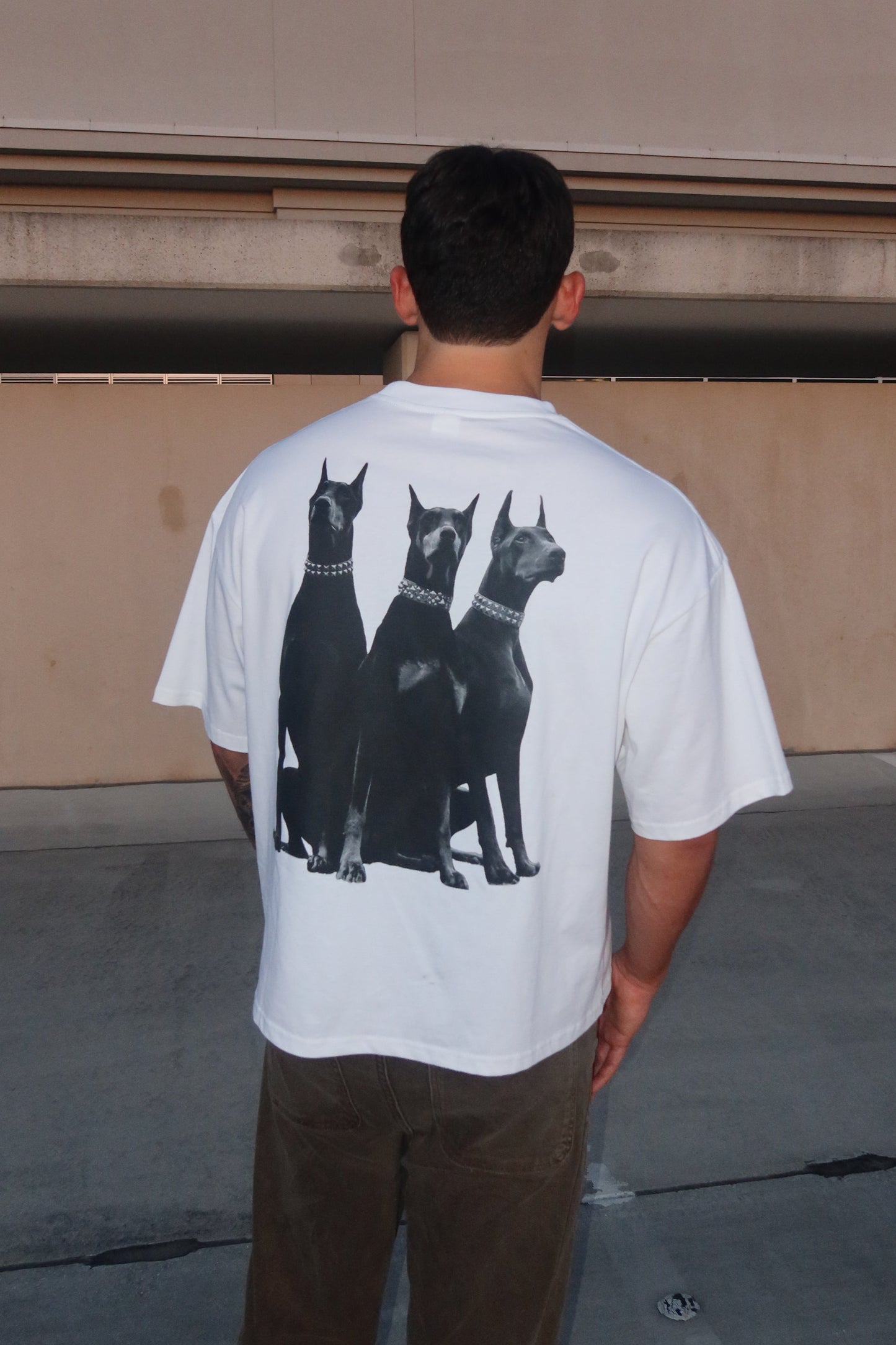 WHO LET THE DOGS OUT TEE
